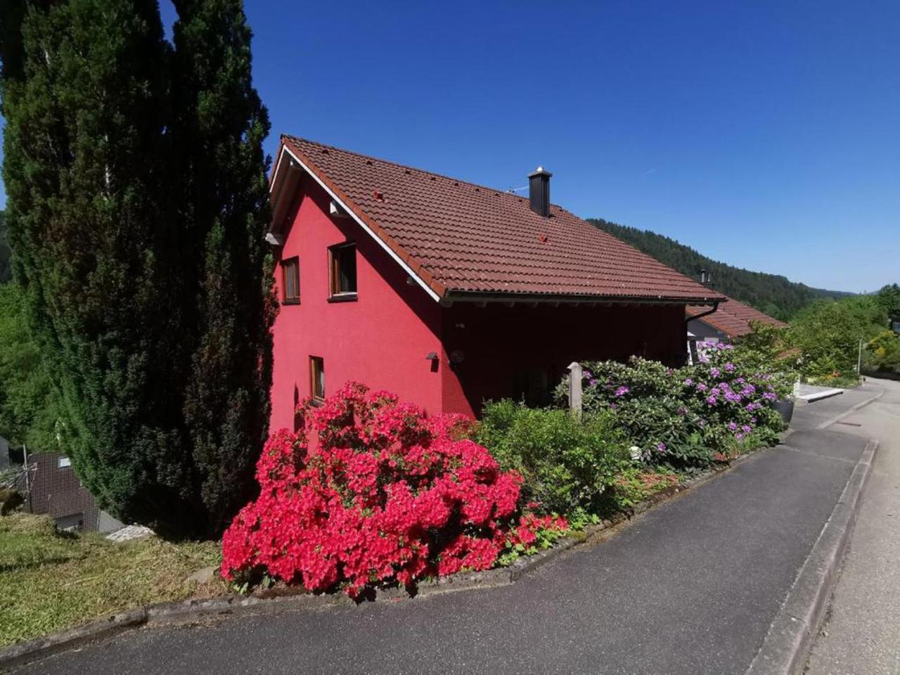 Ferienwohnung Am Rubersbach Hornberg Eksteriør billede